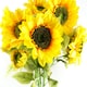 image 4 of Pack of 6 x 88cm Yellow Artificial Sunflower - 18 heads