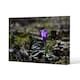 image 1 of autumn flower bloom in nature (Canvas Print) 31 x 41 x 4cm