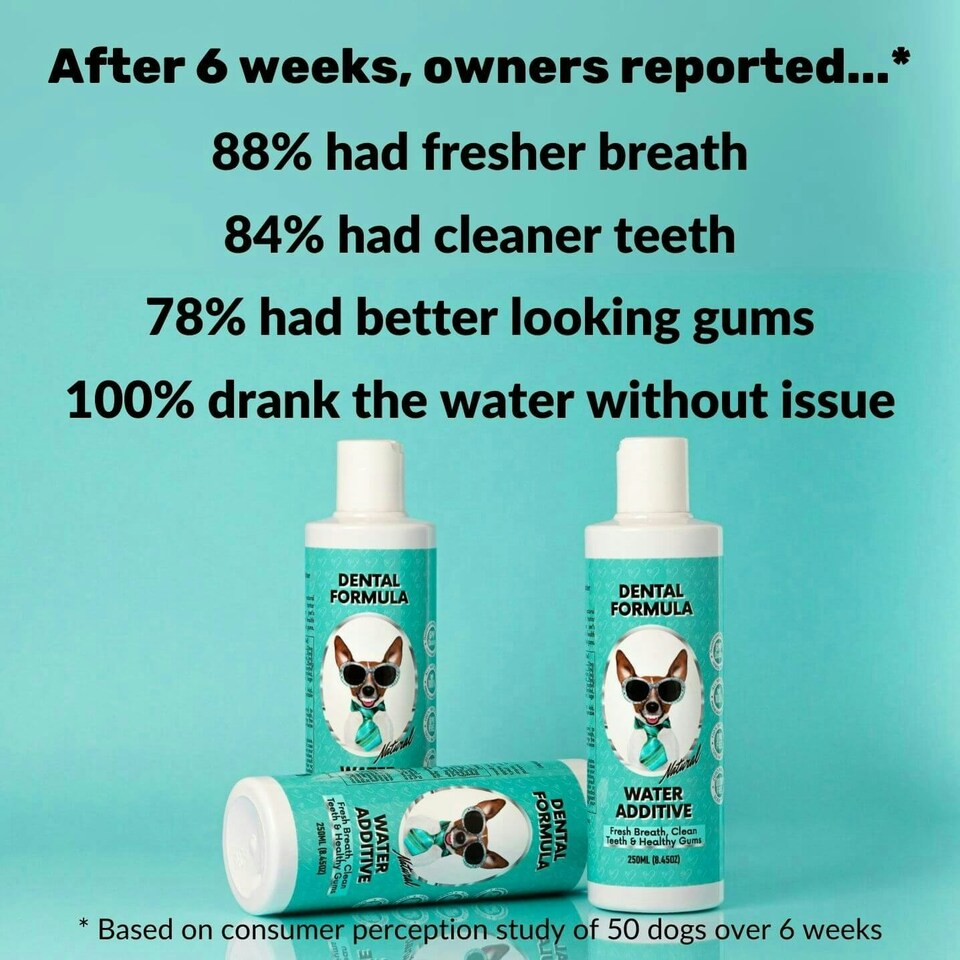 image 1 of Dental Formula Water Additive