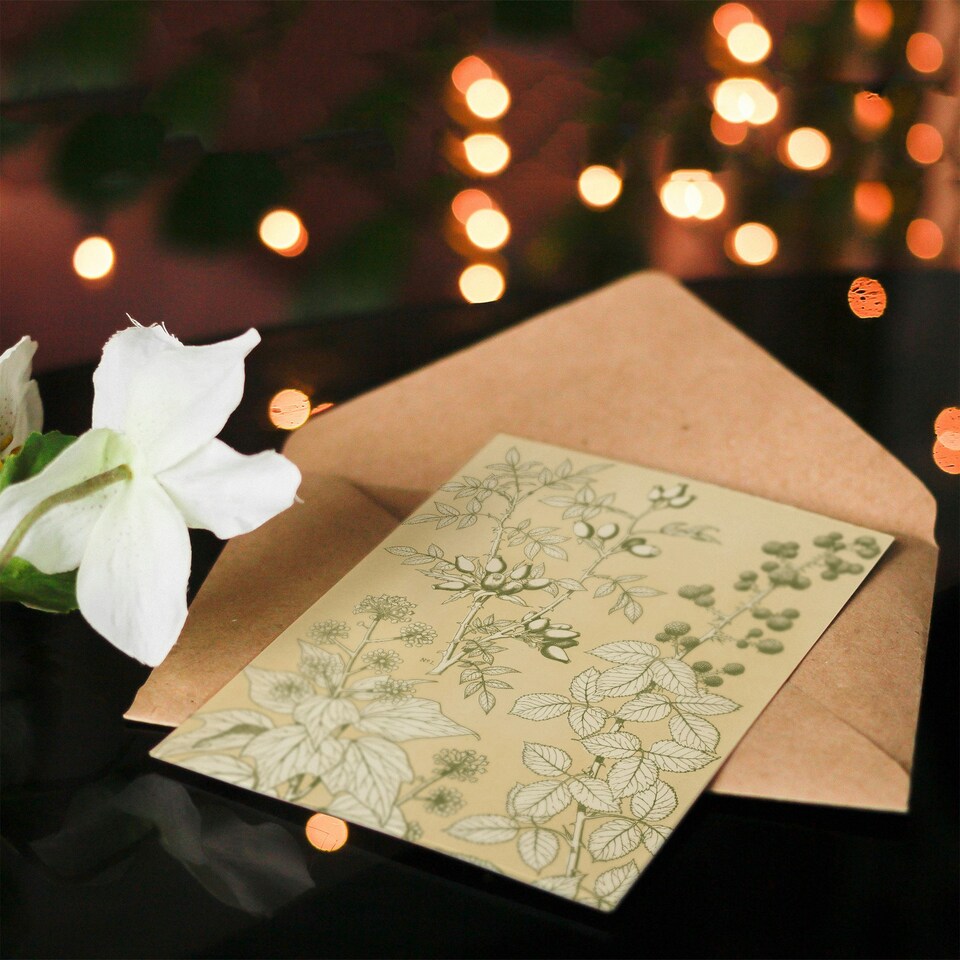 image 1 of Owen Jones Art Card Wild Rose Ivy Blackberry Vintage Botanical