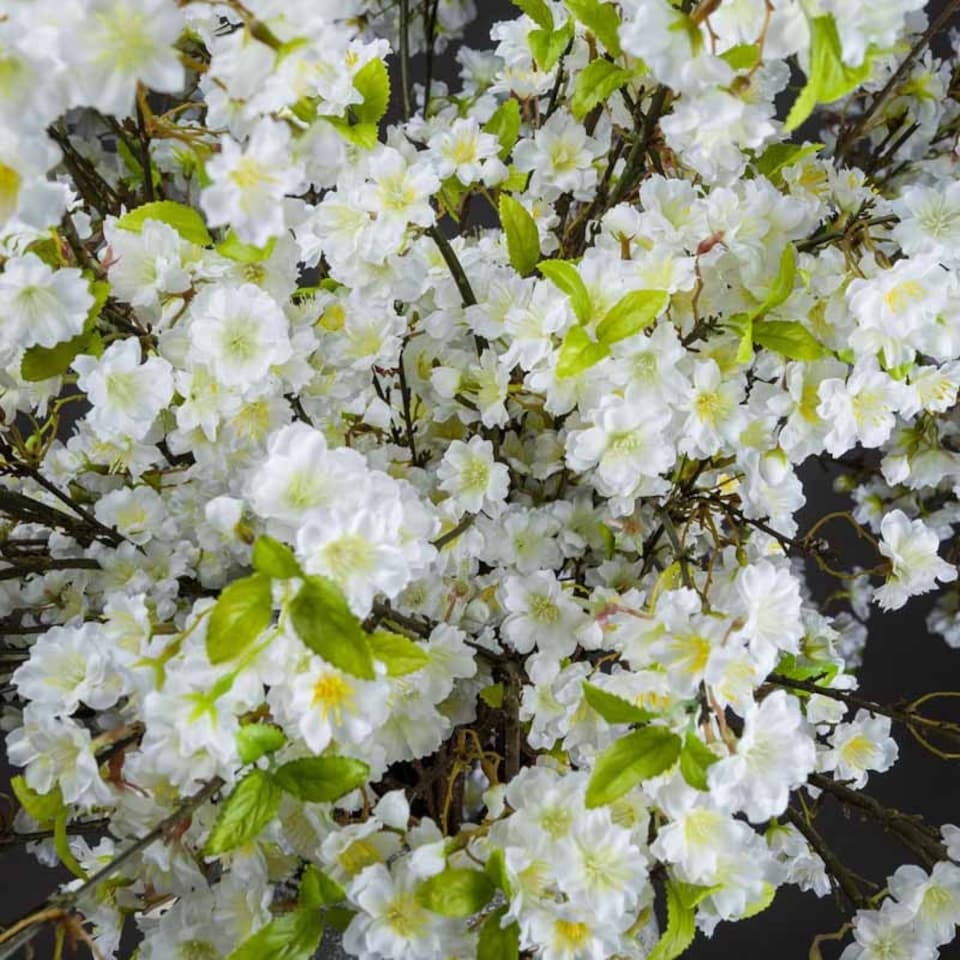 image 1 of White Cherry Blossom Spray Artificial Plant - Fabric/Plastic - L25 x W28 x H124 cm - White
