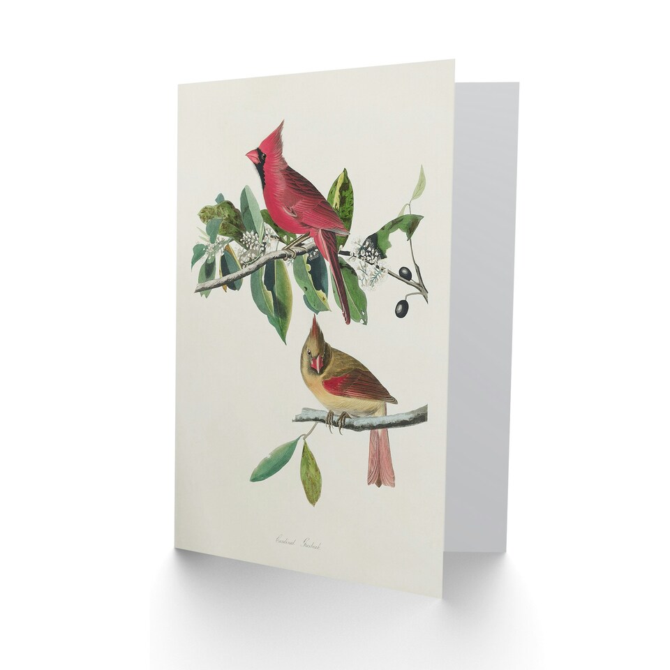 image 1 of John James Audubon Art Card Cardinal Grosbeak Bird
