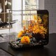 image 3 of biOrb FLOW 30L Aquarium Fish Tank in Black with MCR LED Lighting
