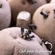 image 8 of Marshalls Garden Seed Potato Christmas Harvest Collection 3 x 1kg. | Multi | 1 x 3kg Tubers