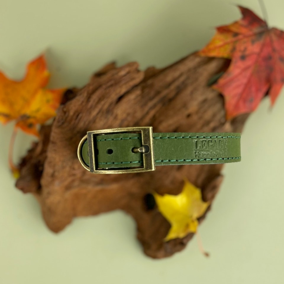 image 1 of HugglePets Legacy Leather Dog Collar - Khaki N/A | XL
