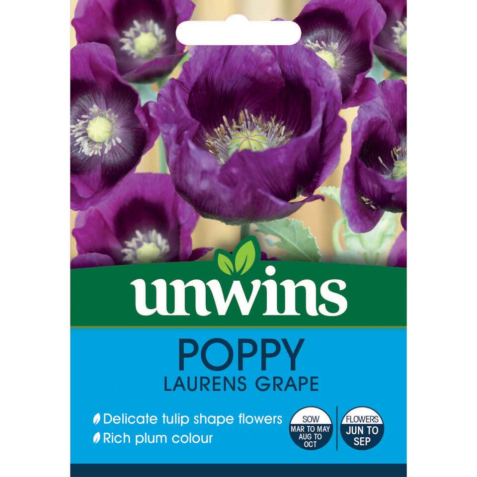 image 1 of Poppy Laurens Grape | Multi | Purple | Flower Seeds | 1