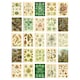 image 2 of Botanical Aesthetic Haeckel Colourful Art Set of 50 Unframed A6 Prints