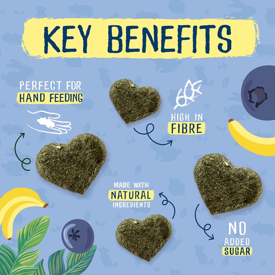 image 1 of 12 x 60g Burgess Excel Nature Fruity Feasts Banana and Blueberry