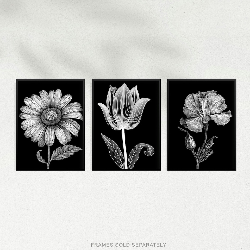 image 1 of Set of 3 Elegant Single Tulip Daisy Rose Spring Flowers Black White Floral Artworks Wall Art Prints 12X16 Inch