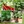 Green and Red