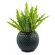 image 2 of Blue Ceramic Plant Pot 15 x 15 x 12.5cm