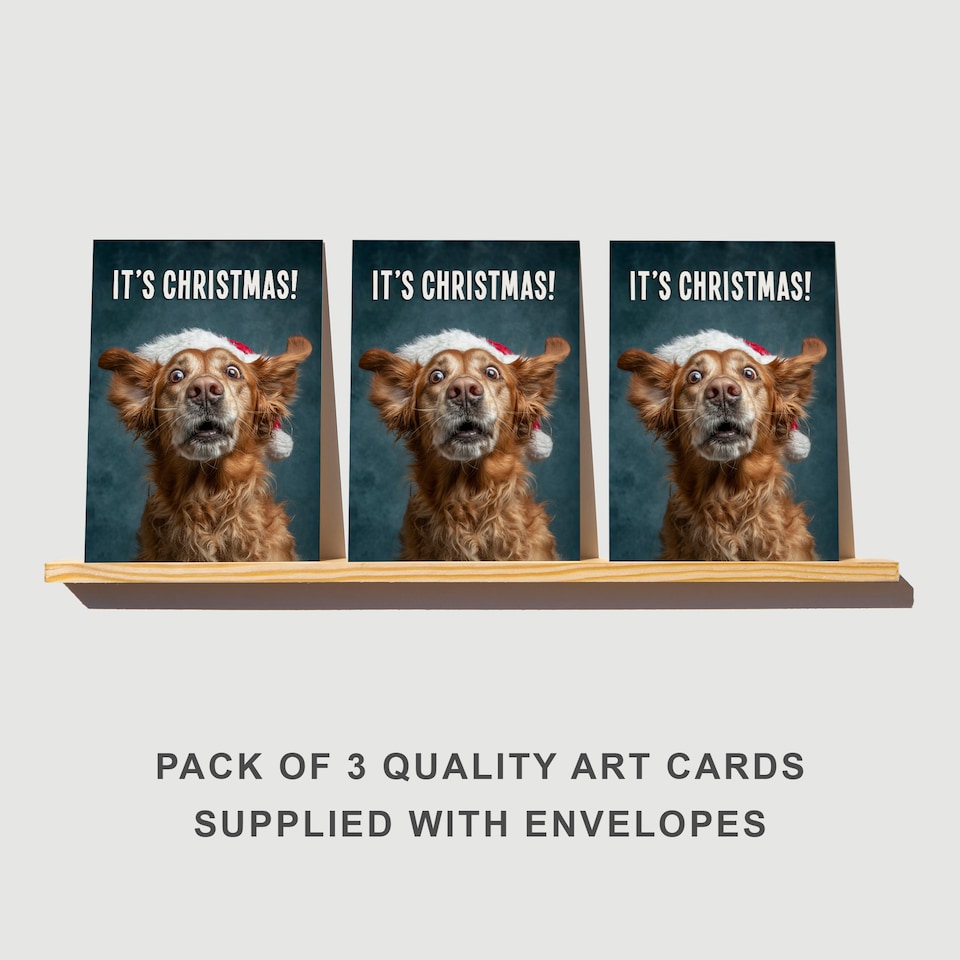 image 1 of Golden Retriever Christmas Card Santa Hat Funny Set of 3 Greeting Cards Blank