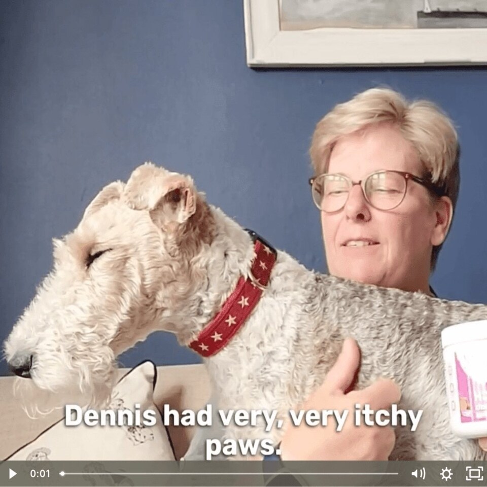 image 1 of All-Itch & Immunity Treats