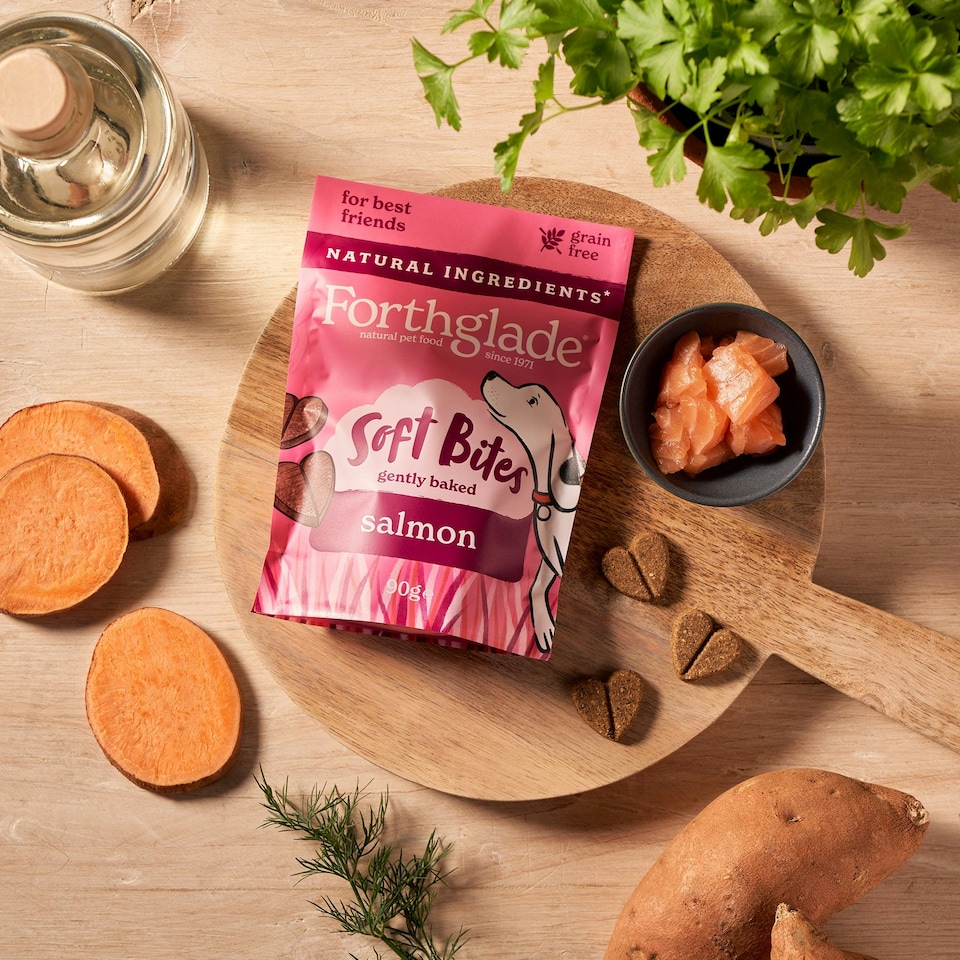 image 1 of Salmon Soft Bites Dog Treats (8x90g)