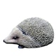 image 5 of Set Of Two Hedgehogs Home Or Garden Decorations