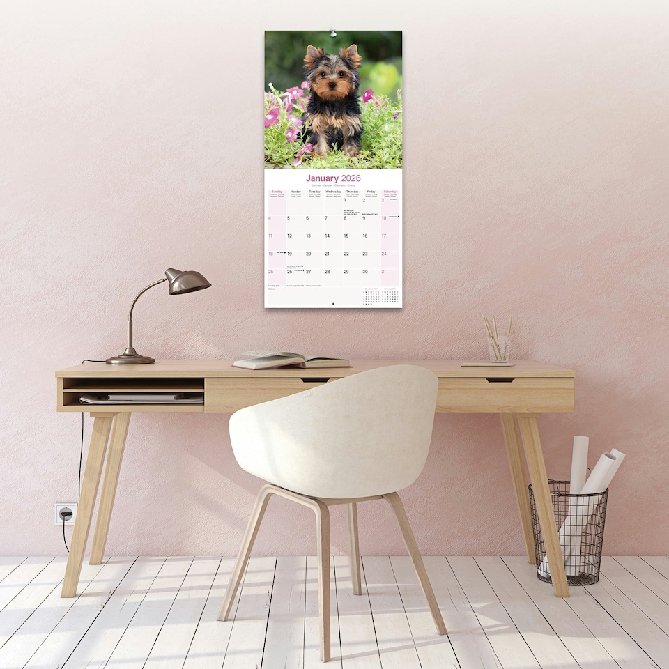 image 1 of Yorkshire Terrier 2026 Calendar | Square Wall Calendar | Dog Breed Gift | Plastic Free Packaging | by Avonside Publishing