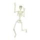 image 4 of 90cm Skeleton