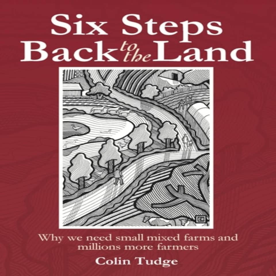 Six Steps Back To The Land
