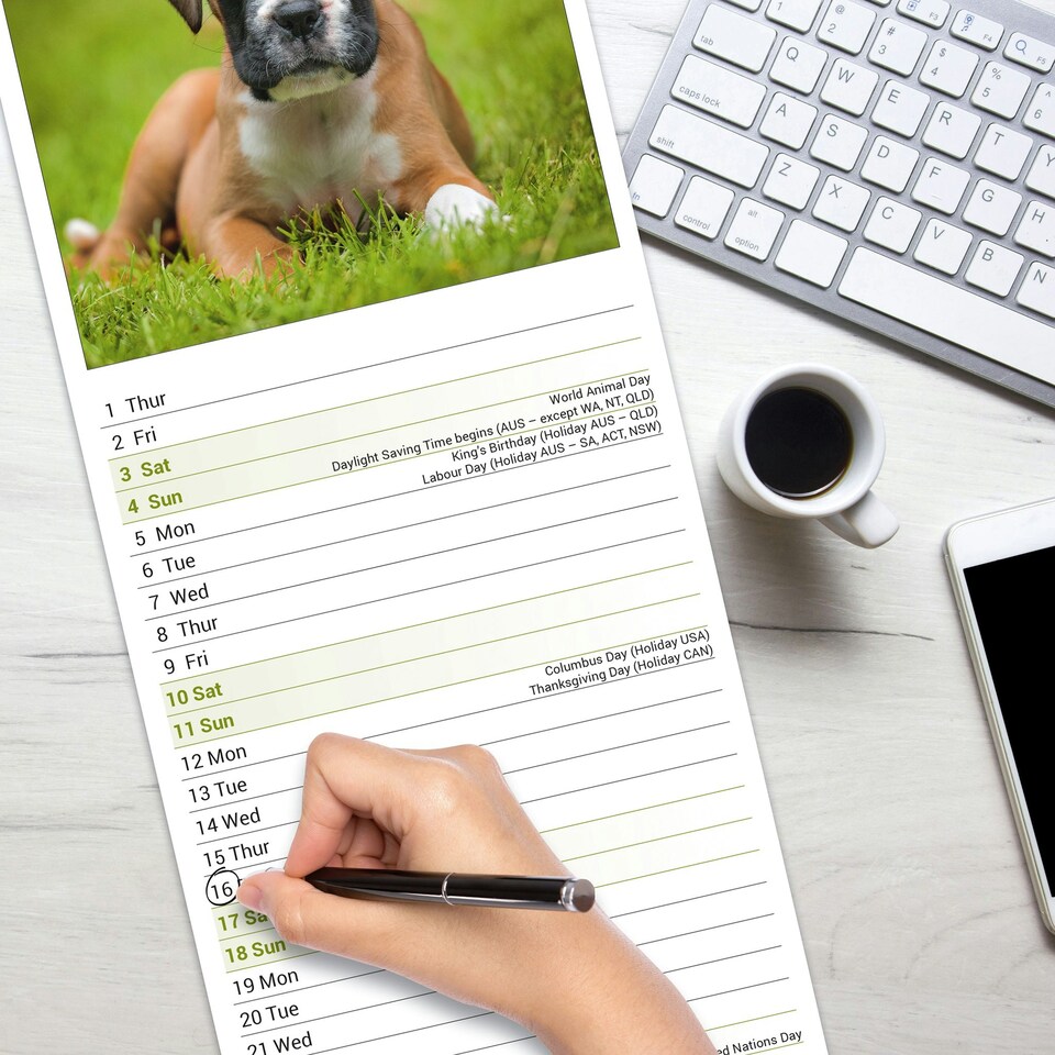 image 1 of Boxer Slim 2026 Calendar | Slimline Wall Calendar | Dog Breed Gift | Plastic Free Packaging | by Avonside Publishing [Calendar] Avonside Publishing Ltd