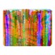 image 1 of carousel (Blanket)