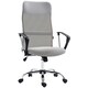 image 1 of HOMCOM Executive Office Chair High Back Mesh Back Seat Desk Chairs, Light Grey