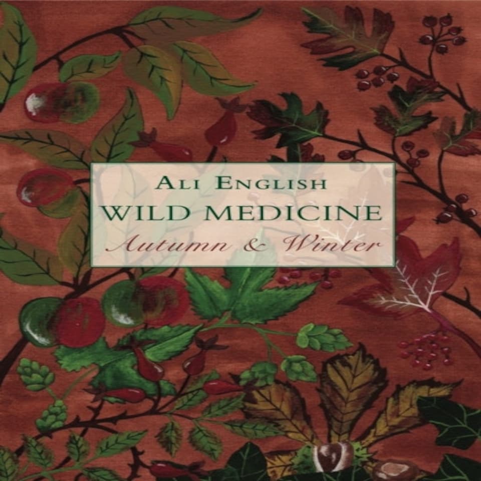 Wild Medicine Autumn And Winter