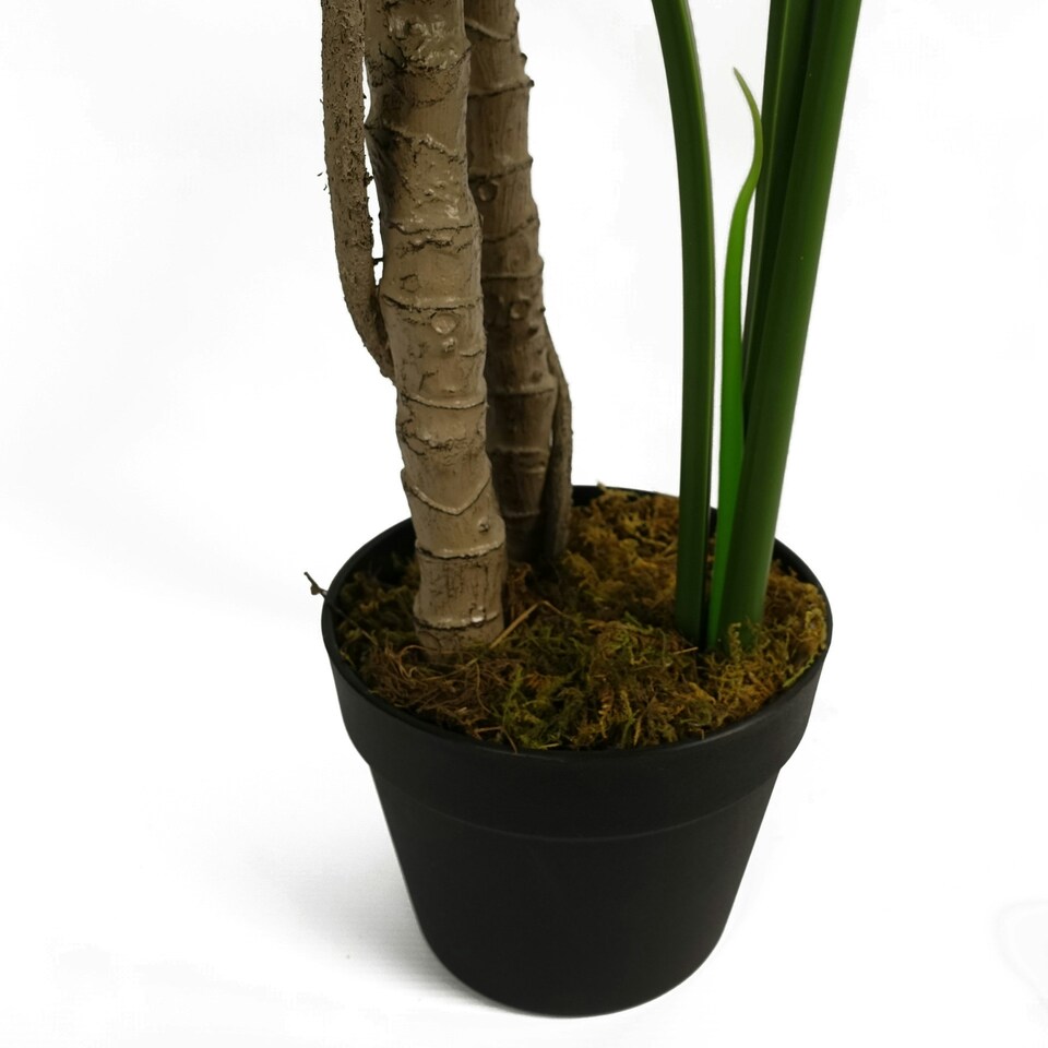 image 1 of Artificial Monstera Plant 150cm Luxury Cheese Plant 5ft Tall Botanik