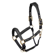 Velociti Lusso Leather Padded Horse Headcollar - Black - Cob