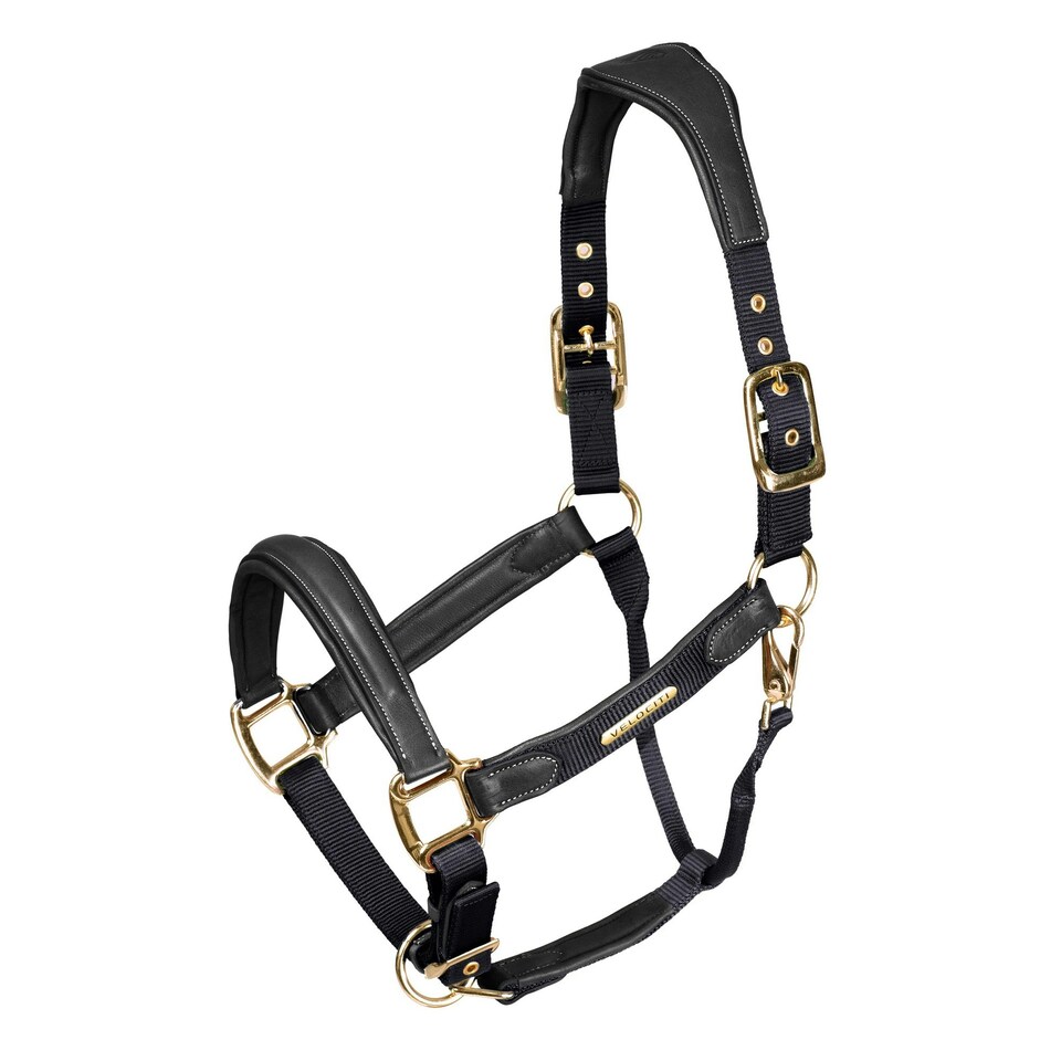 Velociti Lusso Leather Padded Horse Headcollar - Black - Cob