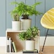 image 2 of Burgon & Ball Glazed Pot Porto Small Grey