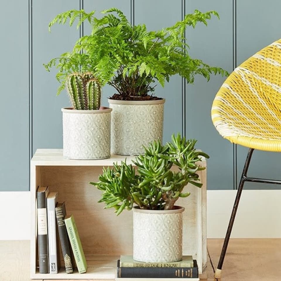 image 1 of Burgon & Ball Glazed Pot Porto Small Grey