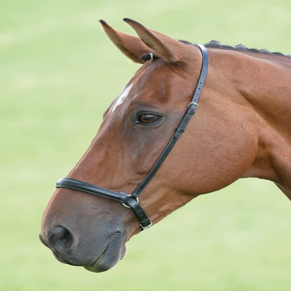 image 1 of Shires Blenheim Drop Noseband Black | Size: Full
Colour: Black