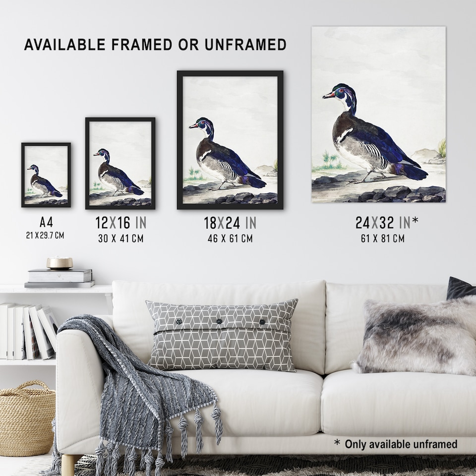 image 1 of Wood Duck Vintage Bird Oil Painting Schouman Framed Wall Art Print 12X16"