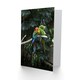 image 2 of Carol M Highsmith Art Card Colourful Sleeping Parrots Photo