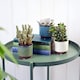 image 3 of Burgon & Ball Malibu Blue Succulent Pot