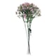 image 5 of 55cm Gypsophila Pink Stem
