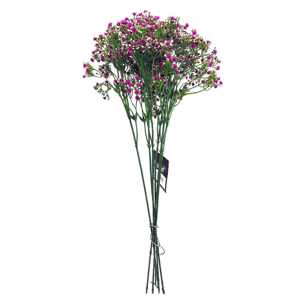 image 1 of 55cm Gypsophila Pink Stem