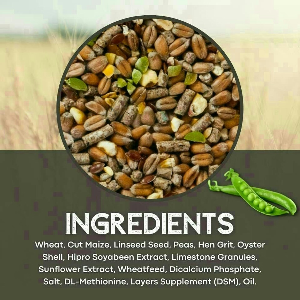 image 1 of Copdock Mill Poultry Gold Chicken Feed 20kg Highly Nutritious Premium Chicken Food  Contains Layers Pellets Chicken Grit & Oyster Shells for Chickens