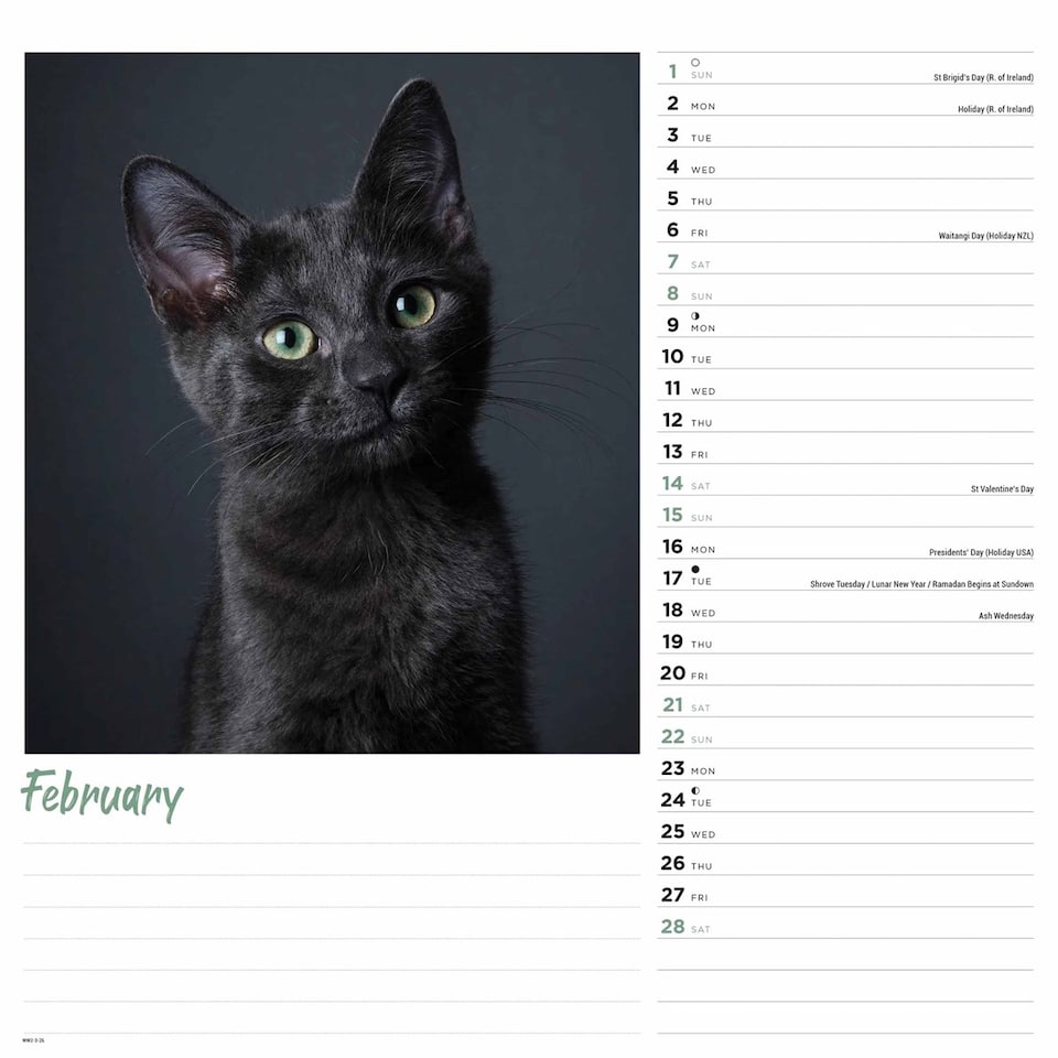 image 1 of Cats Wiro Wall Calendar 2026