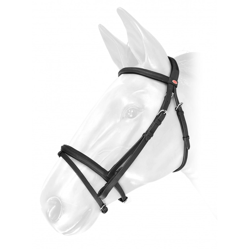 Whitaker Ready To Ride Oiled Leather Horse Flash Bridle - Black - Cob