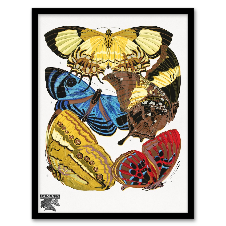 image 1 of Eugene Seguy Framed Wall Art Vintage Butterflies Yellow Red Blue Home Décor