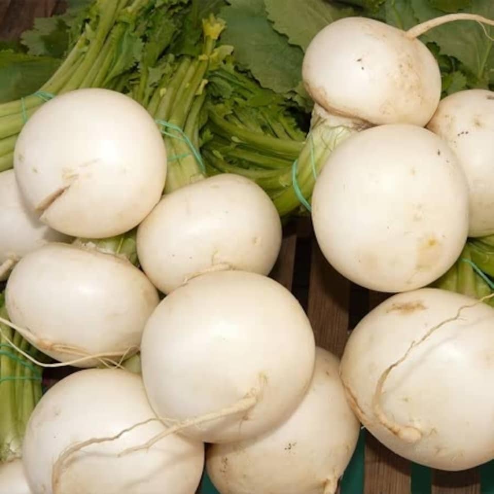 image 1 of Marshalls Garden Turnip Seeds Snowball, 2000 Seeds, Quick-cropping White Globe