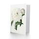 image 2 of Pierre-Joseph Redouté Art Card Vintage Peony Flower Illustration