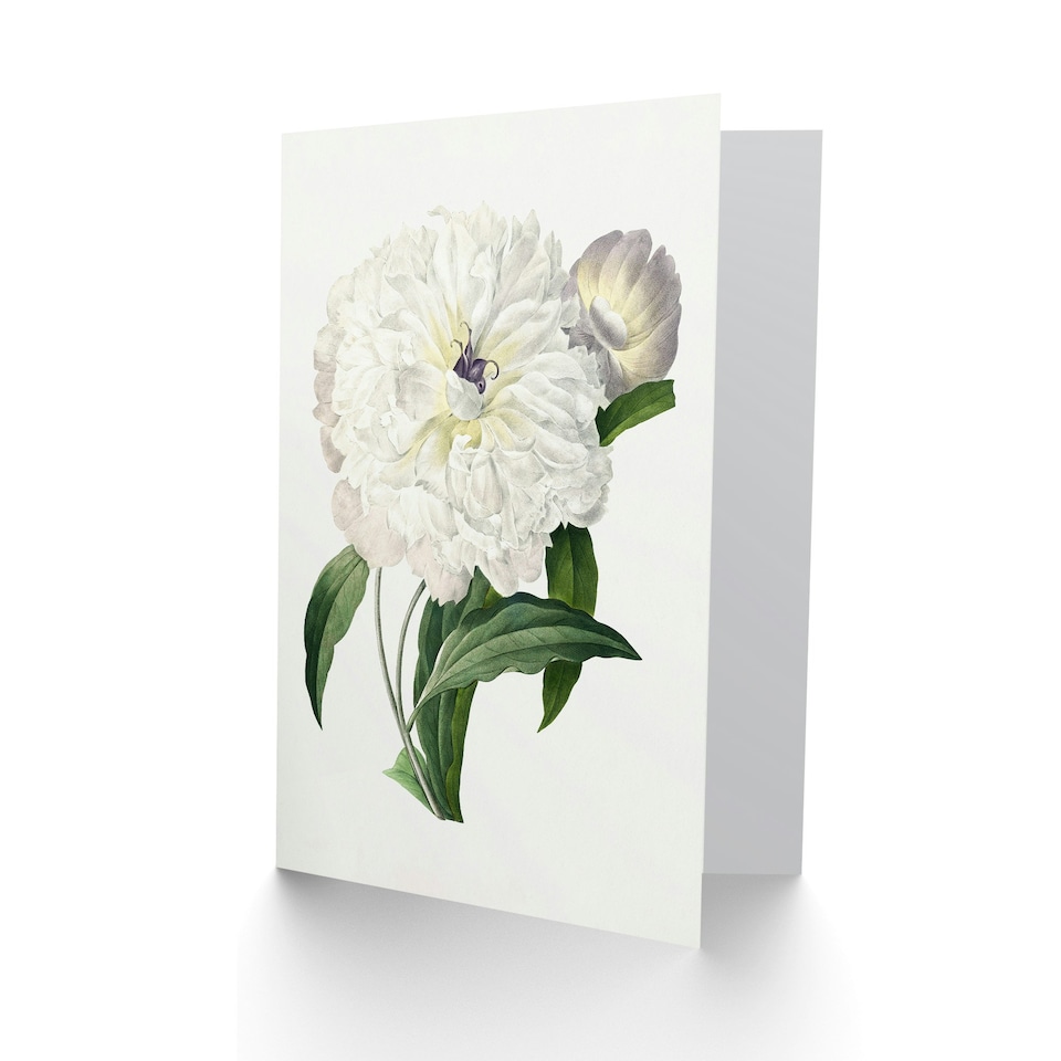 image 1 of Pierre-Joseph Redouté Art Card Vintage Peony Flower Illustration