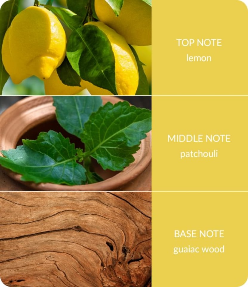 image 1 of Bamboo Fragrance Reed Diffuser - Patchouli & Guaiac Wood - 70ml | Brown