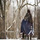 image 5 of LeMieux Kudos Turnout Rug 100g Blue | 5ft 6