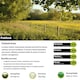 image 2 of Pegdev Paddock Grass Seed Resilient Versatile High Yielding 10g
