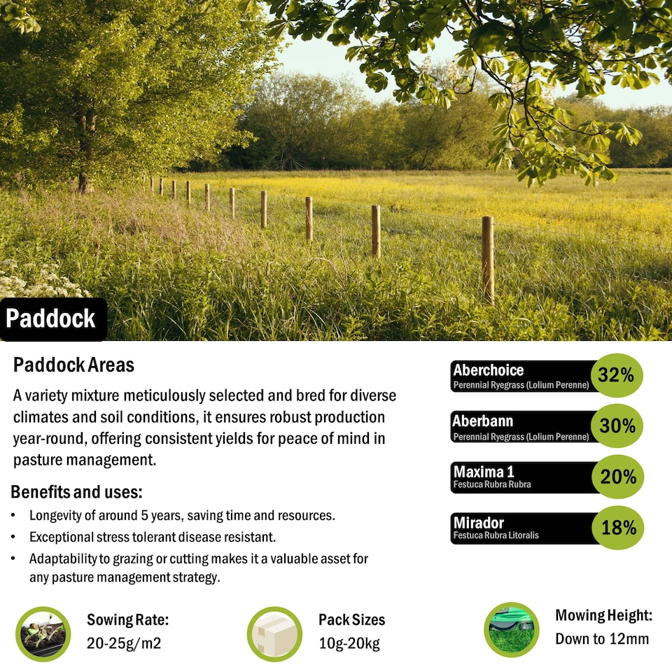 image 1 of Pegdev Paddock Grass Seed Resilient Versatile High Yielding 10g