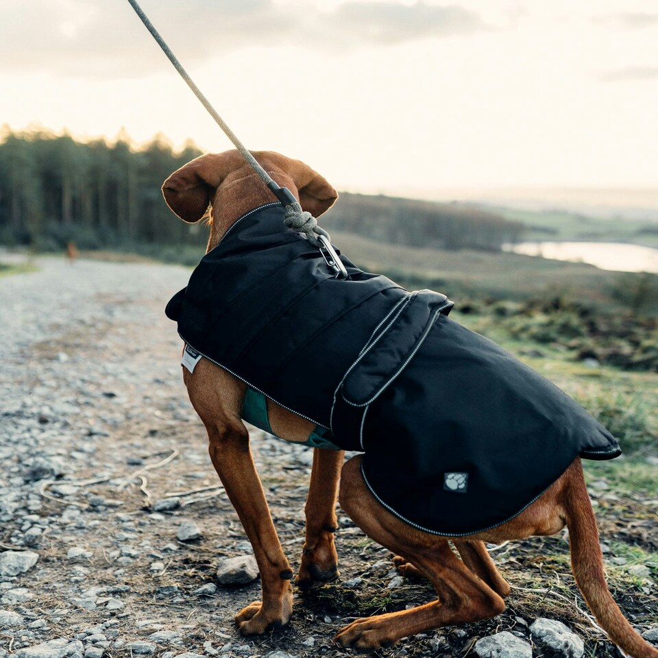 image 1 of Danish Design Harness Dog Coat Black 25cm (10")