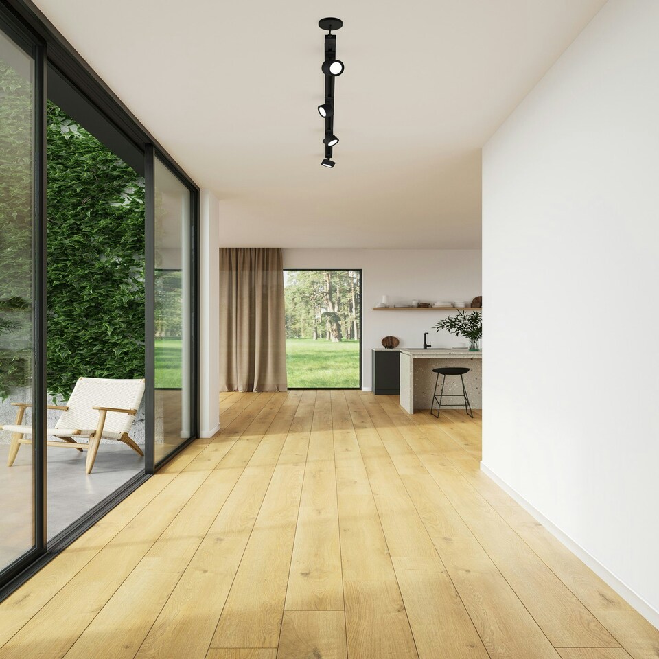 image 1 of Link Clyde | Rail | Black Black | Black
